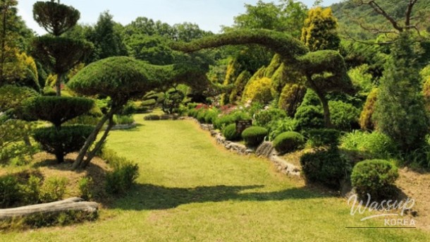 Discover the Serenity of Yulbom Botanical Garden_04
