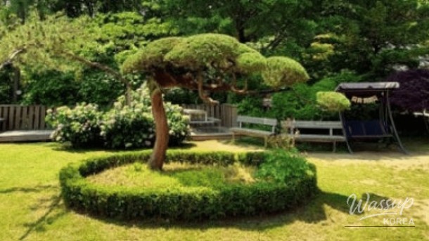 Discover the Serenity of Yulbom Botanical Garden_05