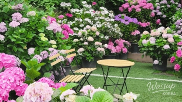 Discover the Serenity of Yulbom Botanical Garden_02