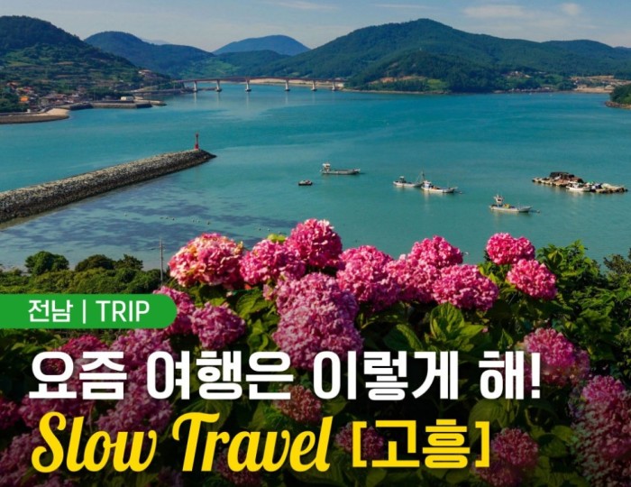 Embrace Slow Travel: A Journey in Goheung float
