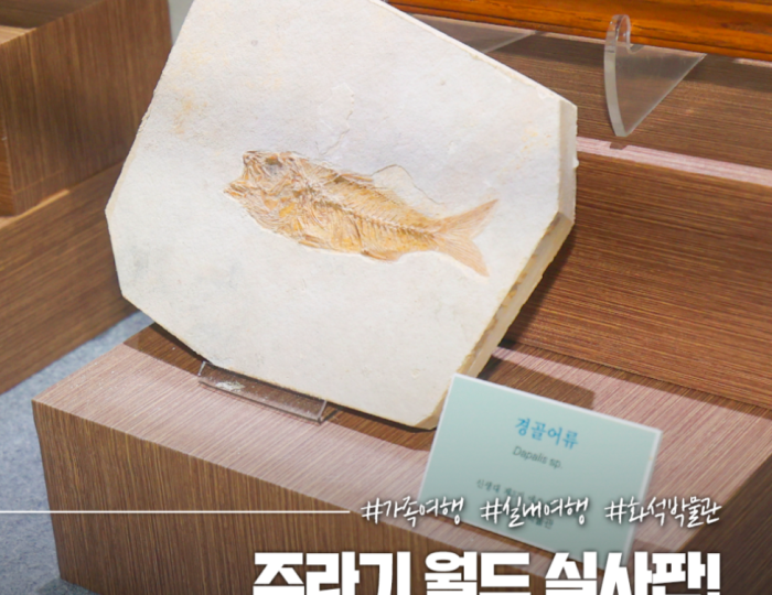 Explore the Exciting Gyeongju Natural History Museum float