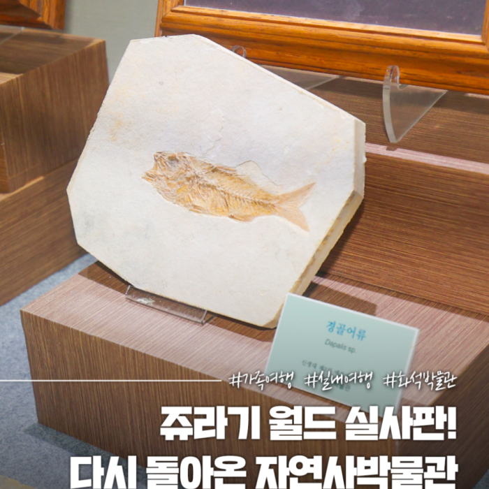 Explore the Exciting Gyeongju Natural History Museum4286