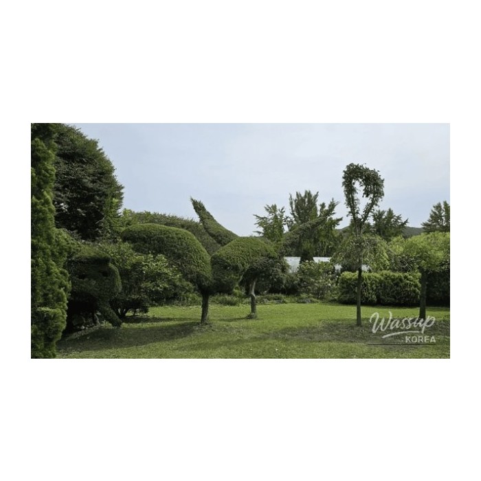 Discover the Serenity of Yulbom Botanical Garden4293