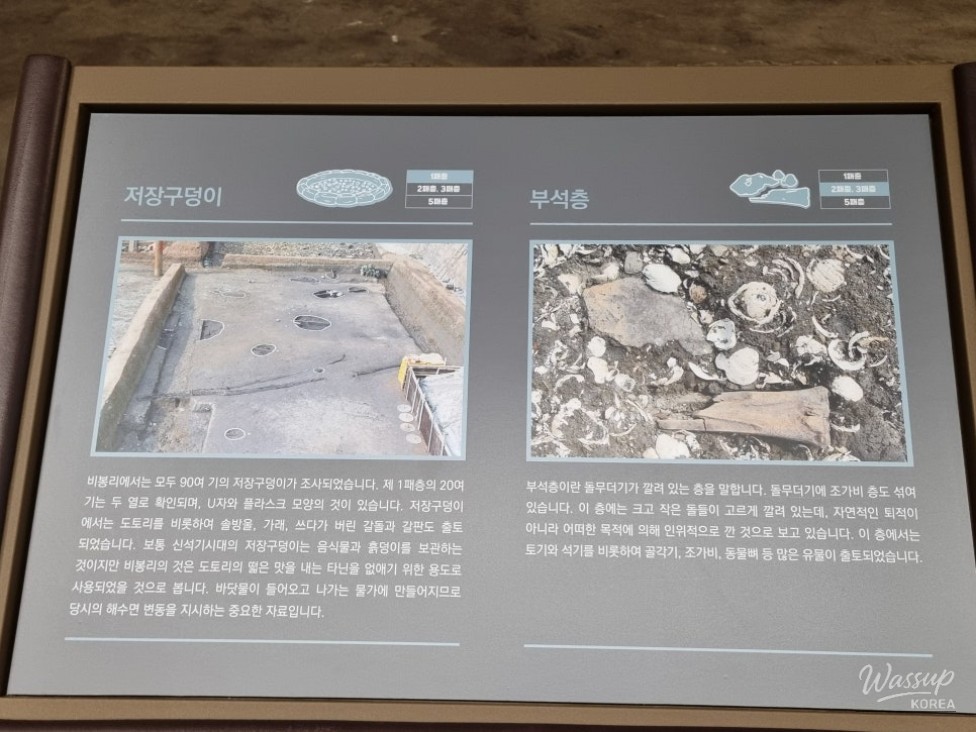 Exploring the Past: A Journey Through the Bibongri Shell Mound Exhibition_05