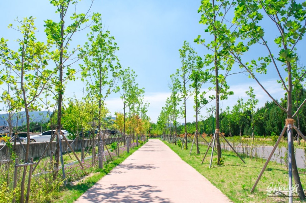 Exploring the Transformation of Hogye Station into Ulsan Forest_12