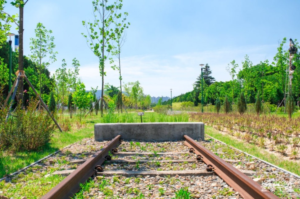 Exploring the Transformation of Hogye Station into Ulsan Forest_19