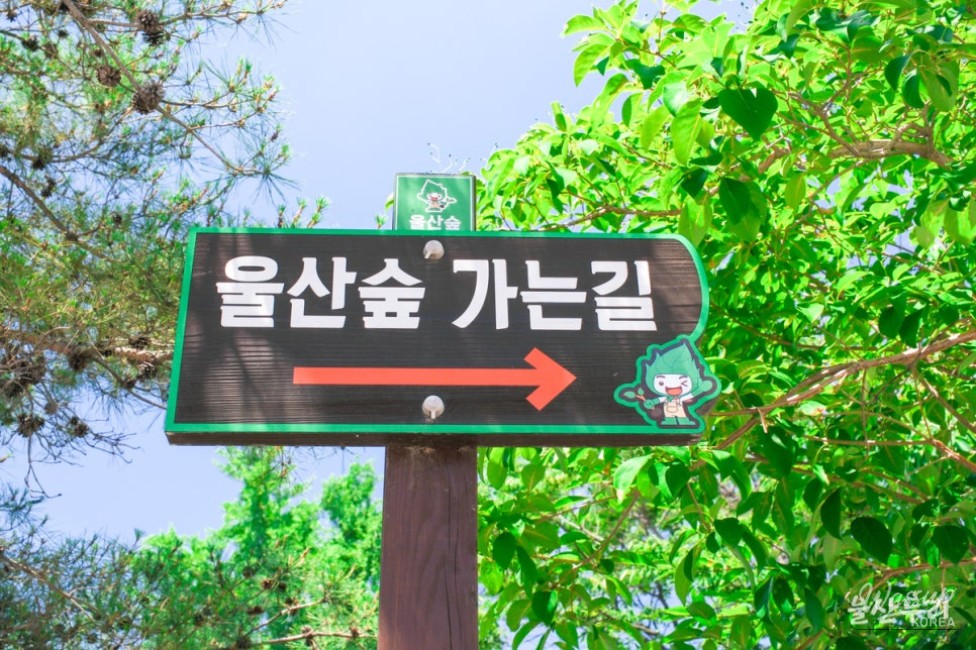 Exploring the Transformation of Hogye Station into Ulsan Forest_03