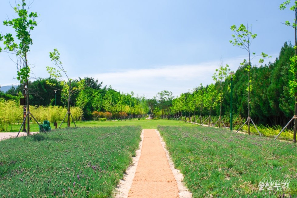 Exploring the Transformation of Hogye Station into Ulsan Forest_15