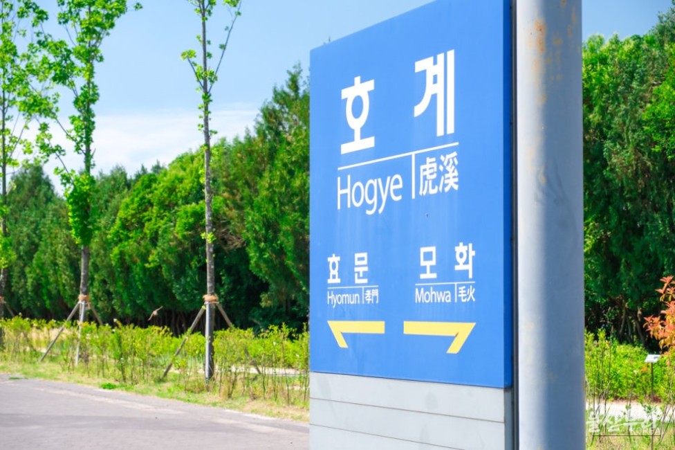 Exploring the Transformation of Hogye Station into Ulsan Forest_13