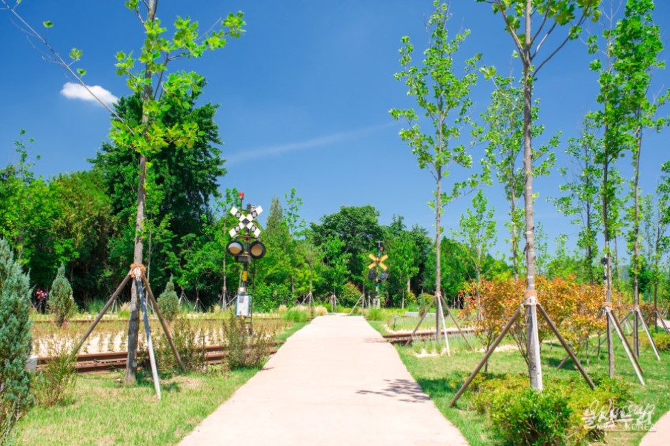 Exploring the Transformation of Hogye Station into Ulsan Forest_20