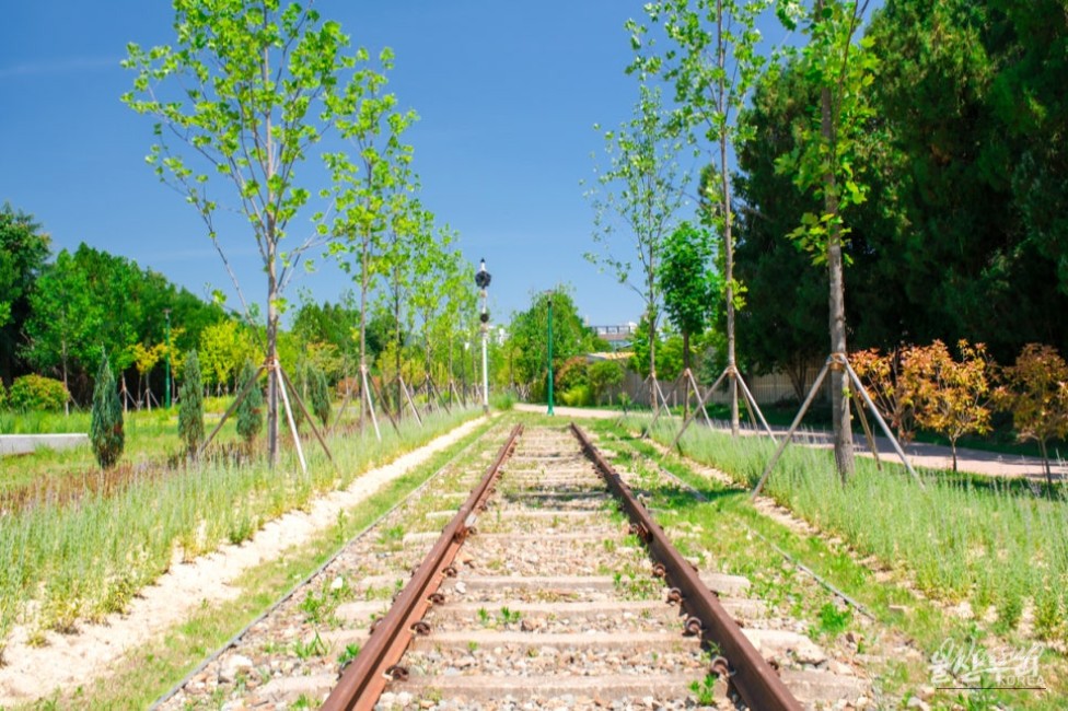 Exploring the Transformation of Hogye Station into Ulsan Forest_06