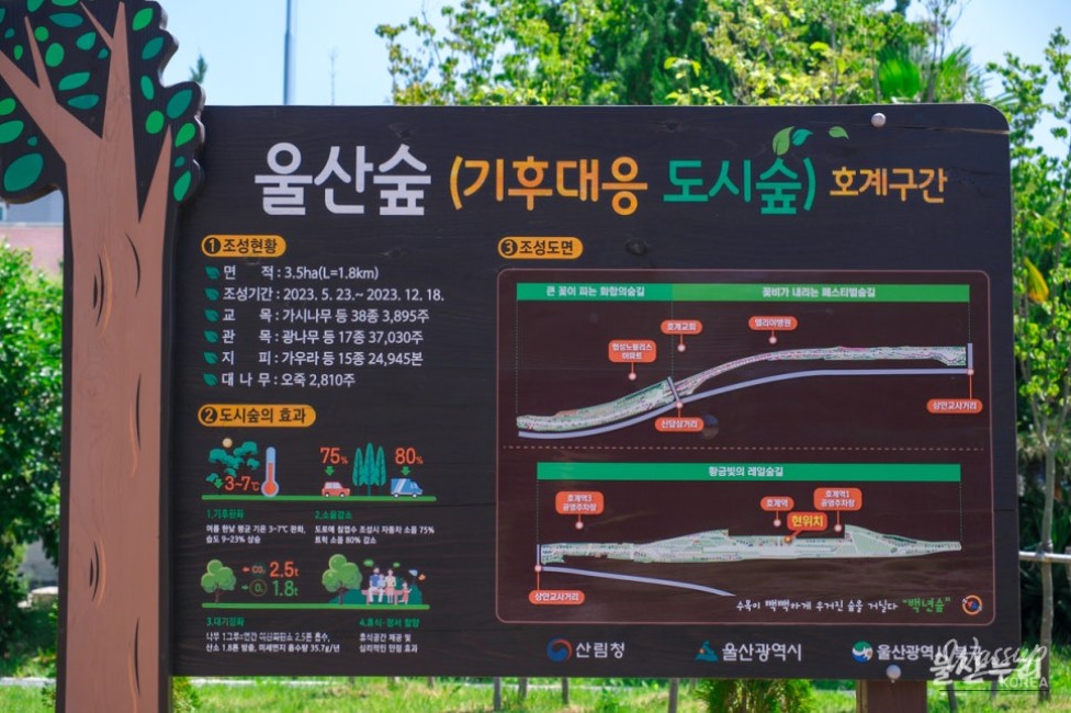 Exploring the Transformation of Hogye Station into Ulsan Forest_08
