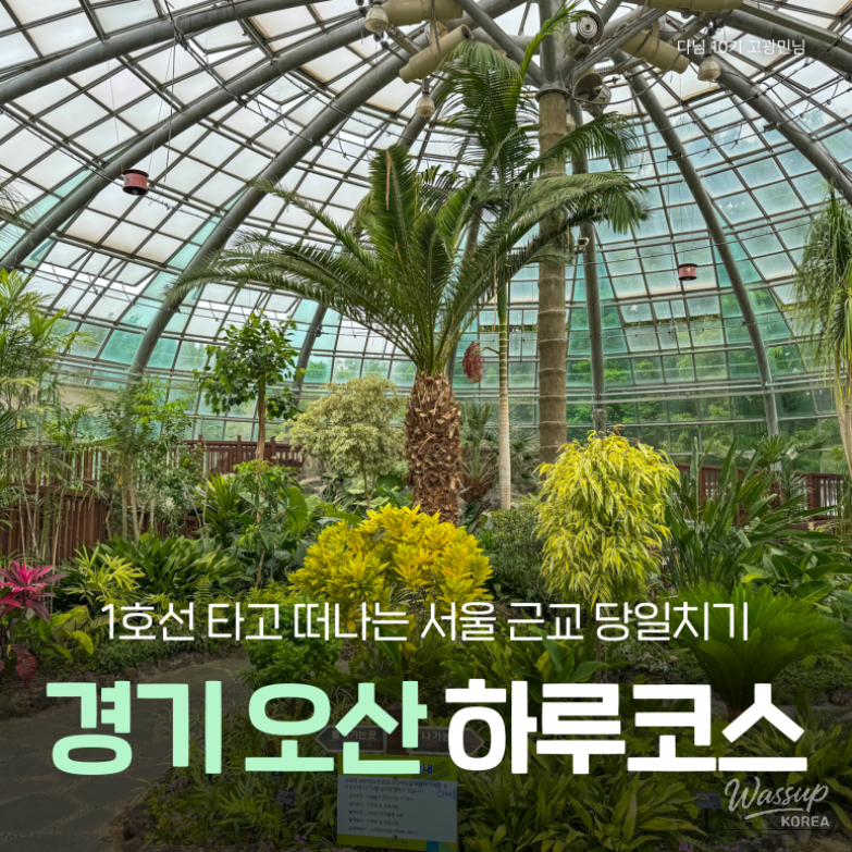 A Perfect Day Trip to Osan from Seoul_01