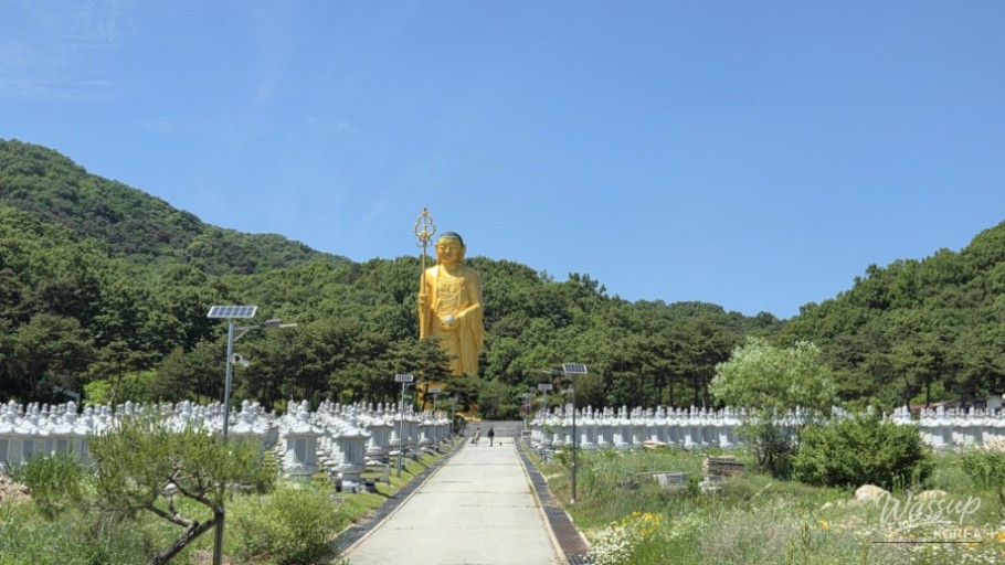 Exploring the Majestic Mitas Temple in Eumseong, South Korea_02