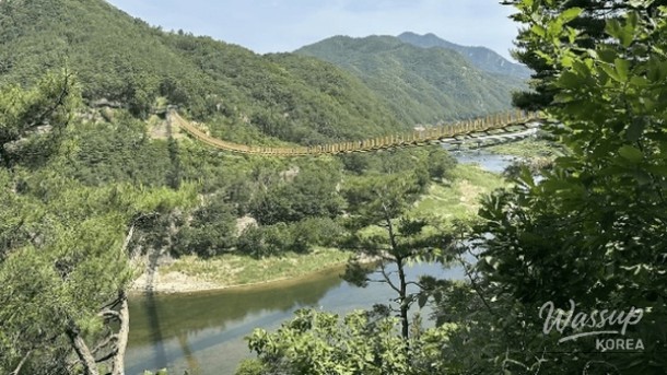 Exploring the Scenic Wolyeong Mountain Suspension Bridge_04