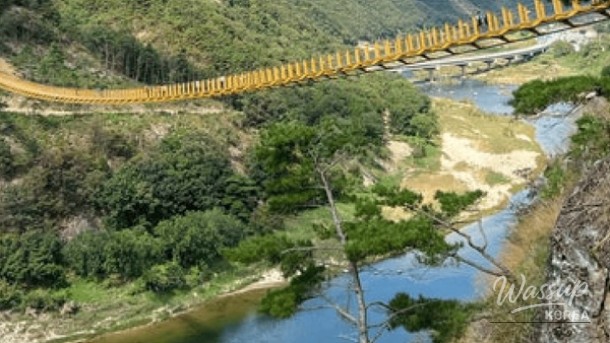 Exploring the Scenic Wolyeong Mountain Suspension Bridge_05
