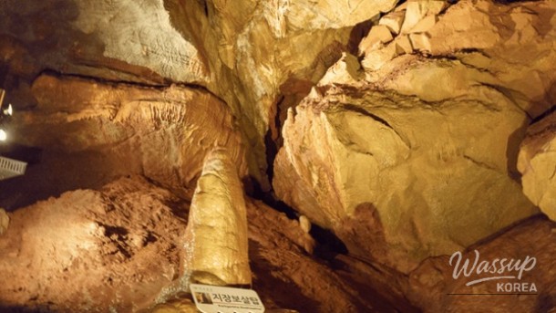 Discovering the Enigmatic Cheongok Golden Bat Cave in Donghae_03