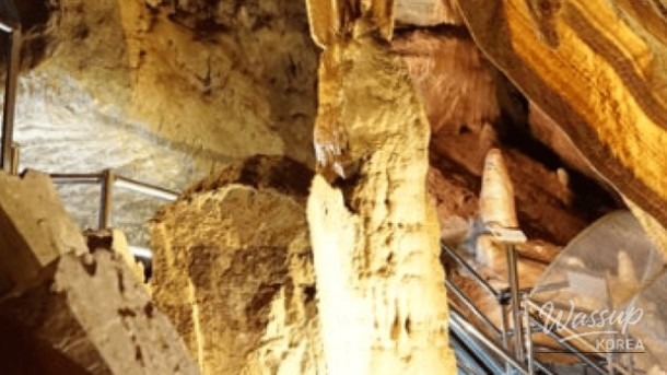 Discovering the Enigmatic Cheongok Golden Bat Cave in Donghae_05