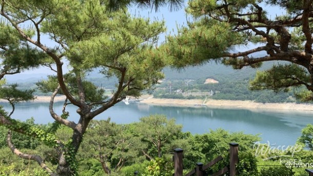 Exploring the Hidden Gems of Chungbuk: A Perfect Summer Getaway_03