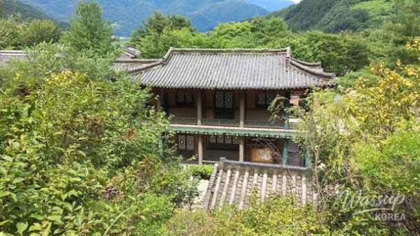 Exploring the Hidden Gems of Chungbuk: A Perfect Summer Getaway_02