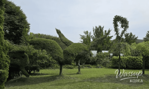 Exploring Jeju Olle: A Scenic Walking Adventure_06