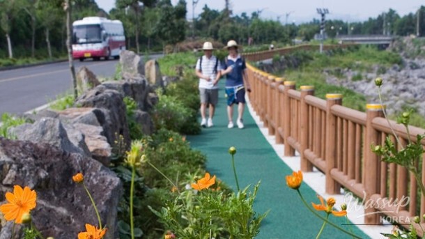 Exploring Jeju Olle: A Scenic Walking Adventure_02