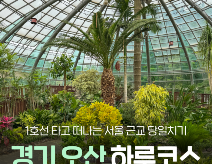 A Perfect Day Trip to Osan from Seoul float