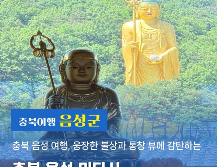 Exploring the Majestic Mitas Temple in Eumseong, South Korea float