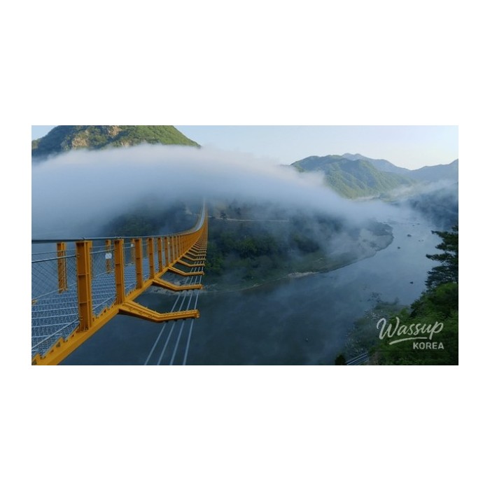 Exploring the Scenic Wolyeong Mountain Suspension Bridge4306