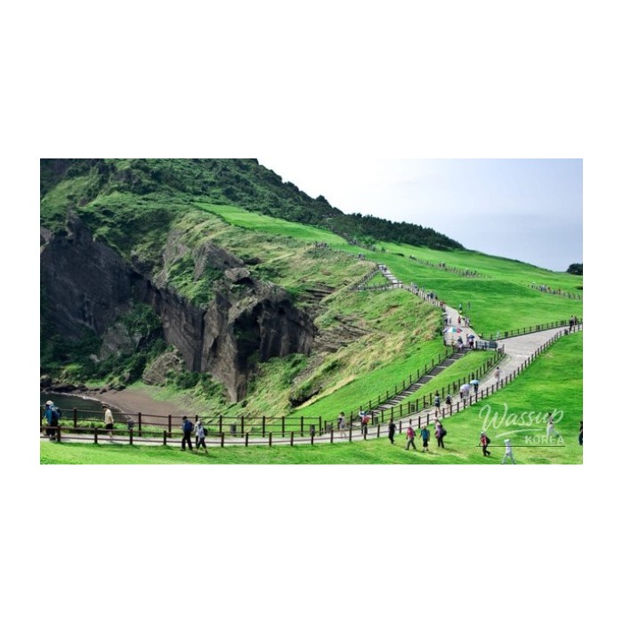 Exploring Jeju Olle: A Scenic Walking Adventure4302