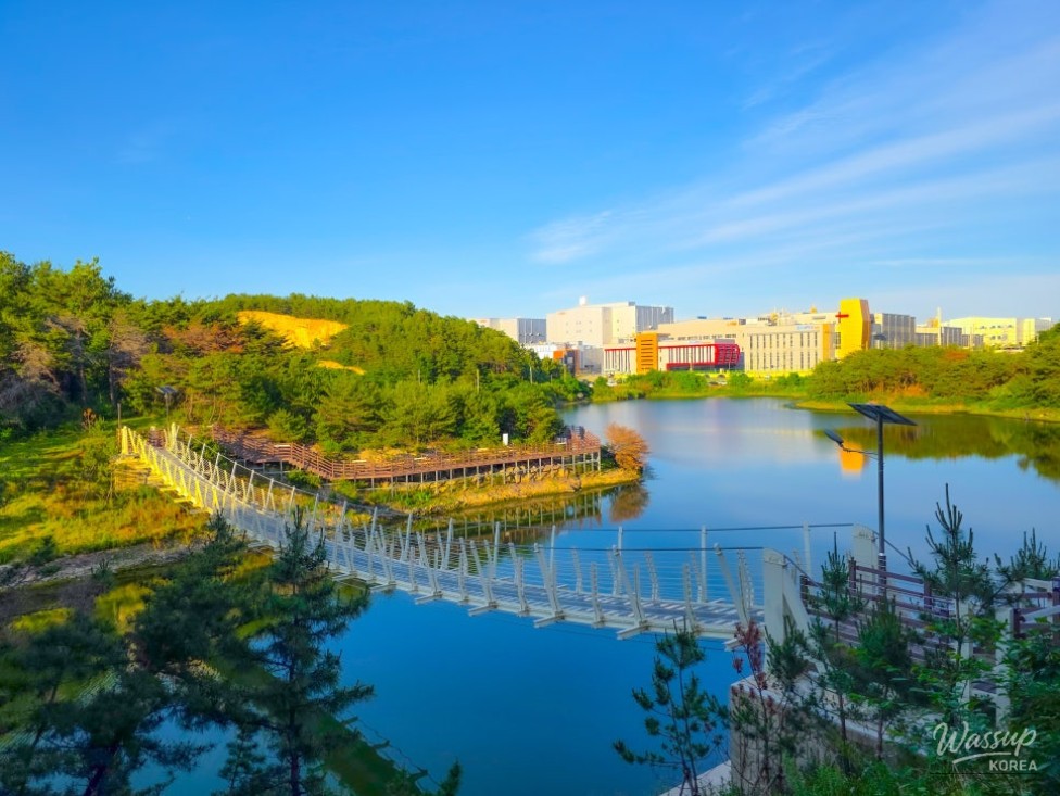 Exploring Cheonma Reservoir: A Serene Summer Stroll in Pohang_01
