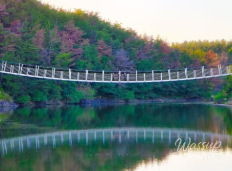 Exploring Cheonma Reservoir: A Serene Summer Stroll in Pohang_06
