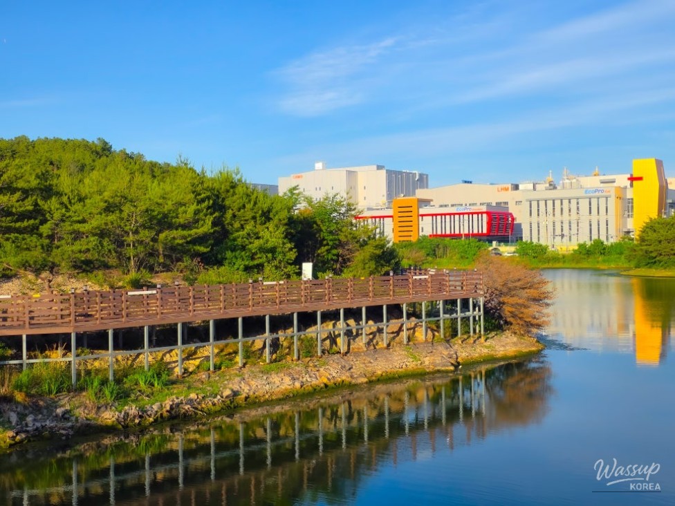 Exploring Cheonma Reservoir: A Serene Summer Stroll in Pohang_04