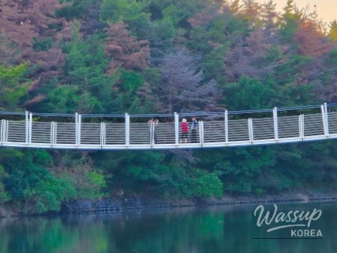 Exploring Cheonma Reservoir: A Serene Summer Stroll in Pohang_07