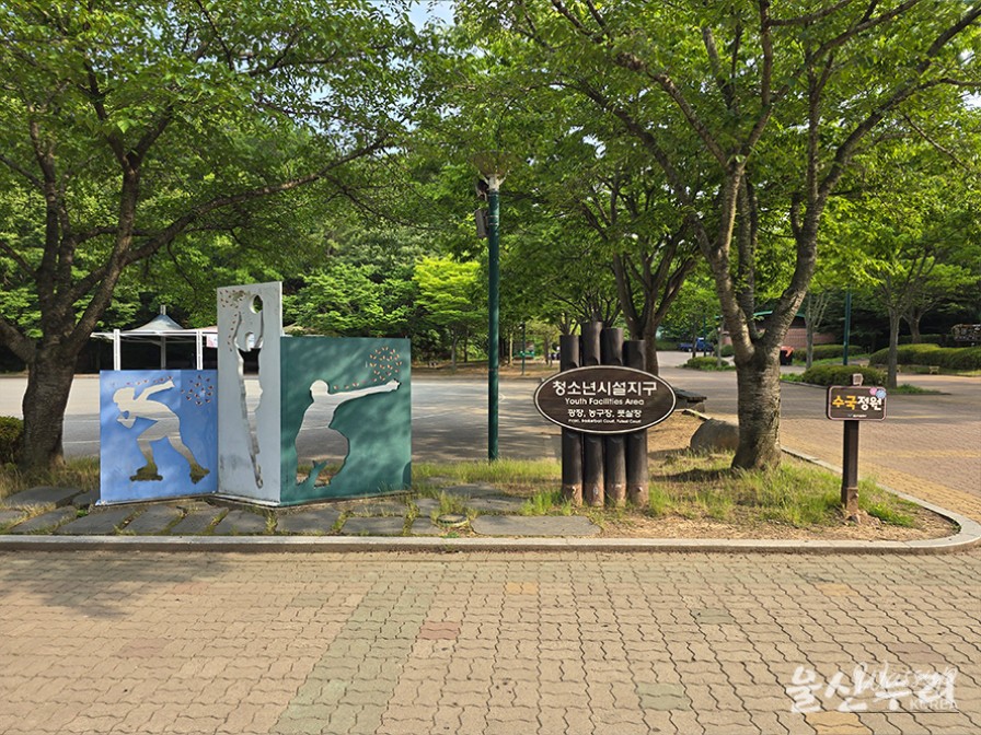 Exploring the Hydrangea Garden at Ulsan Grand Park_04