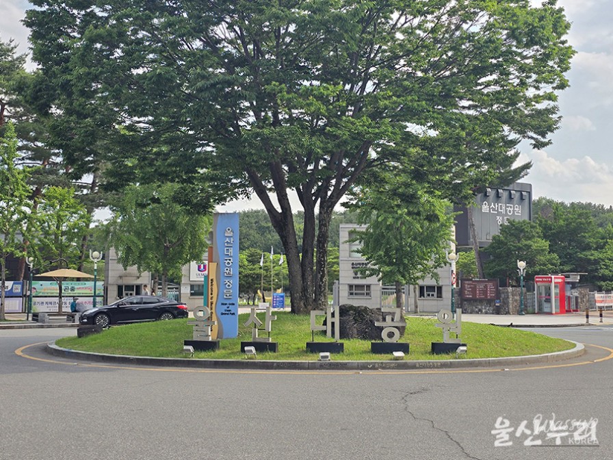Exploring the Hydrangea Garden at Ulsan Grand Park_02