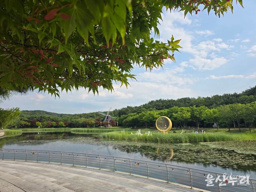 Exploring the Hydrangea Garden at Ulsan Grand Park_03