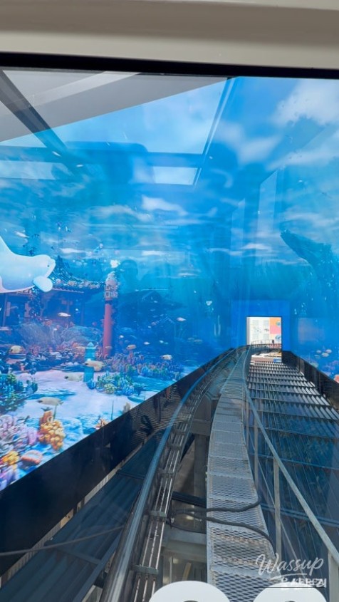 Discovering The Wave: A New Attraction in Ulsan's Jangsaengpo_04