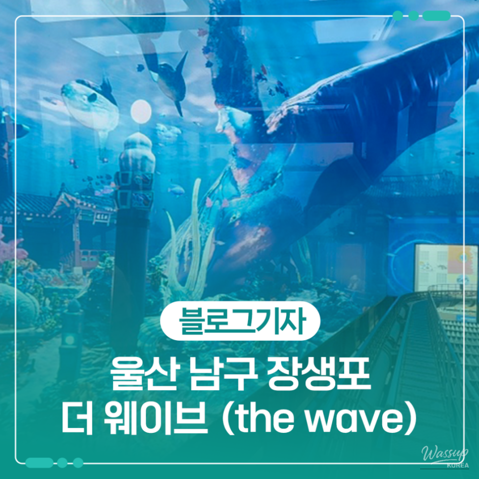 Discovering The Wave: A New Attraction in Ulsan's Jangsaengpo_01