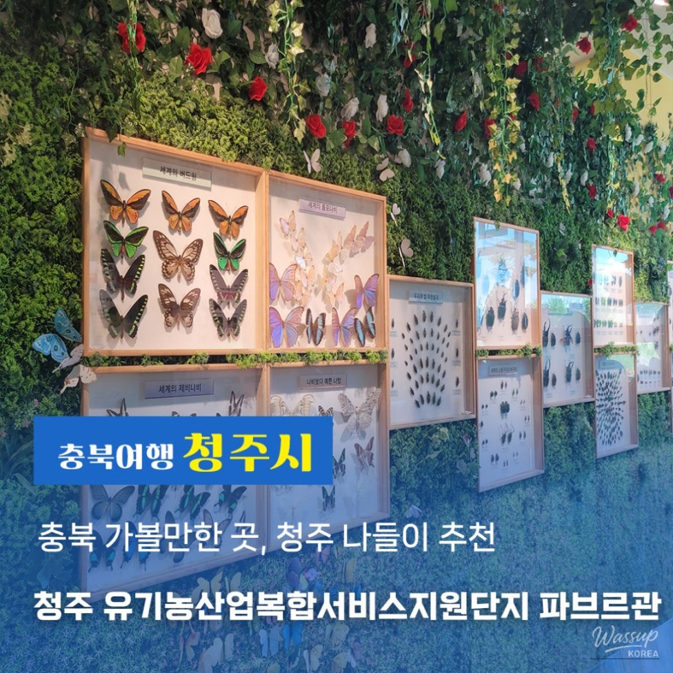 Exploring the New Fabre Hall: A Family Adventure in Cheongju_01