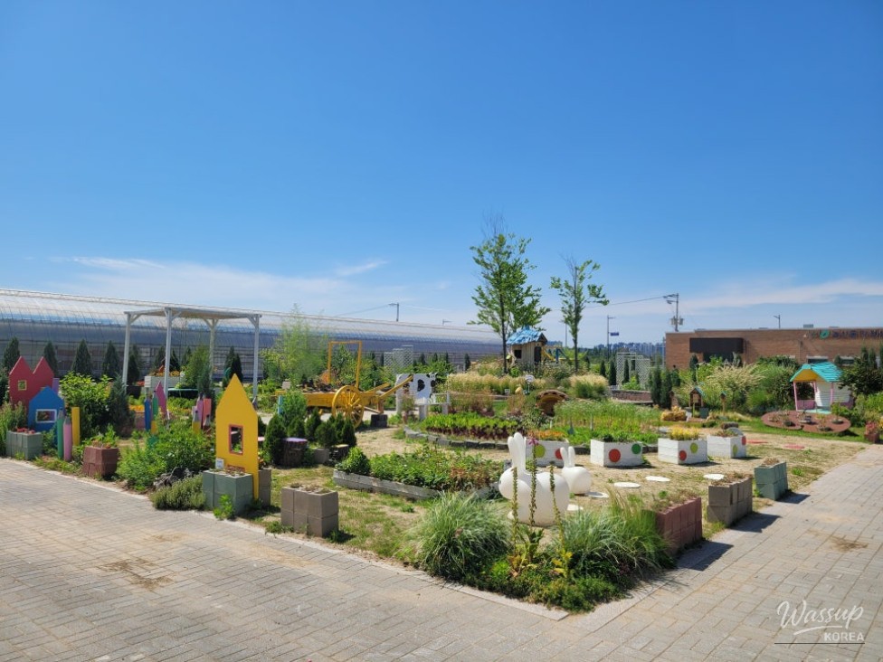 Exploring the New Fabre Hall: A Family Adventure in Cheongju_02