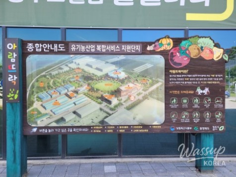 Exploring the New Fabre Hall: A Family Adventure in Cheongju_04