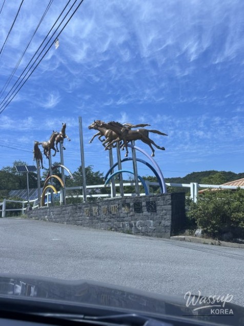 A Special Connection with Nature at Jangsu Ponyland_04