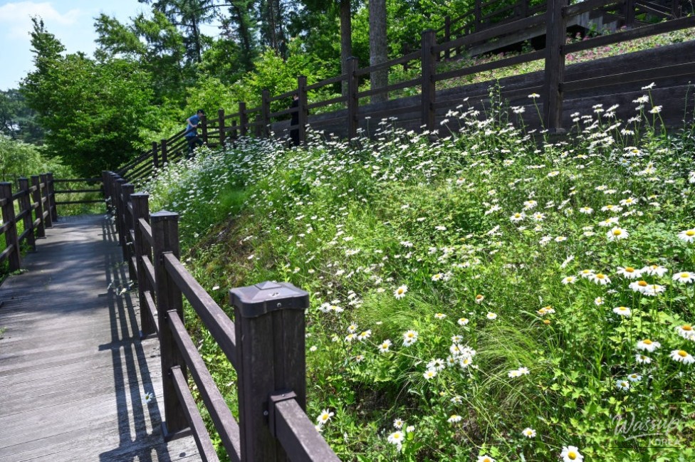Exploring Songrim Neighborhood Park in Jincheon_13