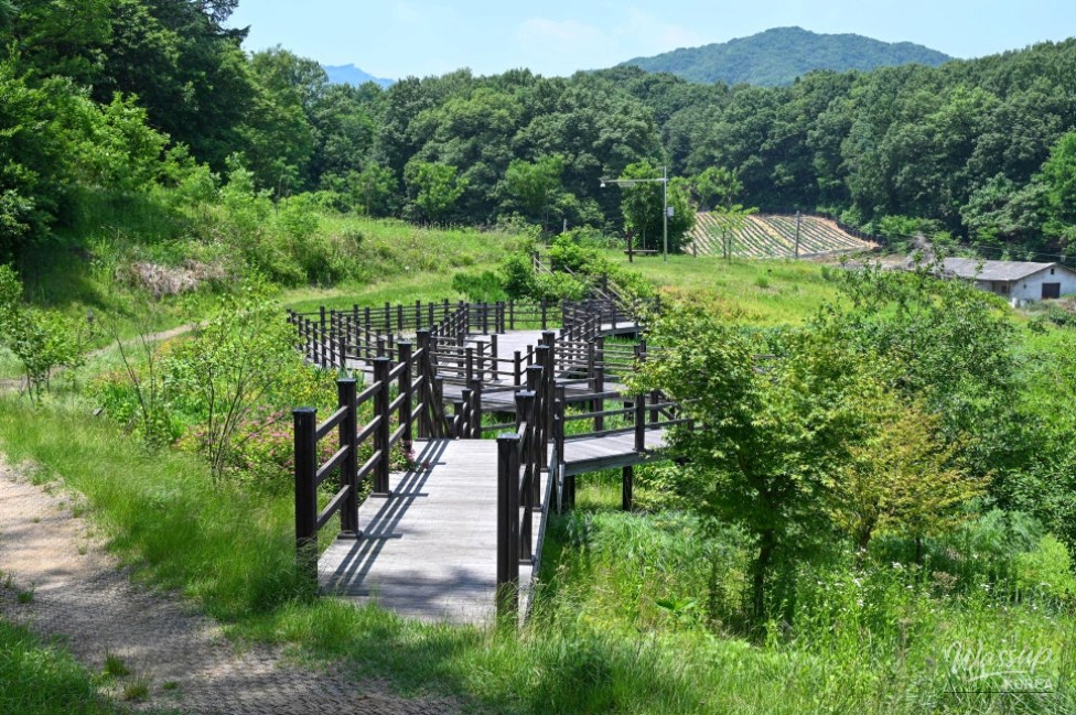 Exploring Songrim Neighborhood Park in Jincheon_10