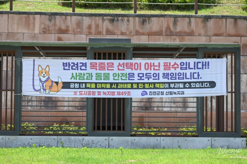 Exploring Songrim Neighborhood Park in Jincheon_03