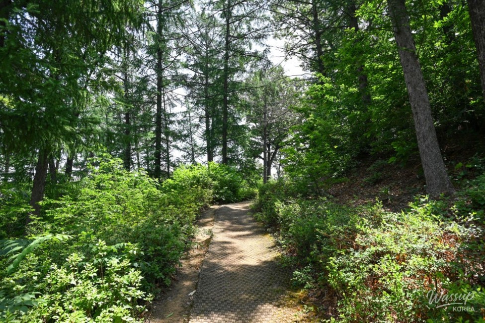 Exploring Songrim Neighborhood Park in Jincheon_11
