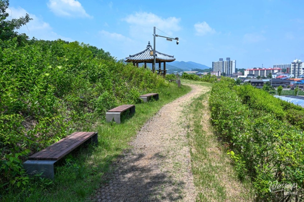 Exploring Songrim Neighborhood Park in Jincheon_08