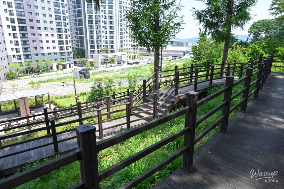 Exploring Songrim Neighborhood Park in Jincheon_12
