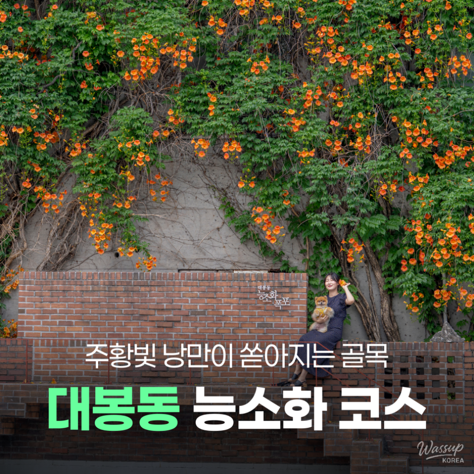 A Perfect Early Summer Getaway in Daegu_01